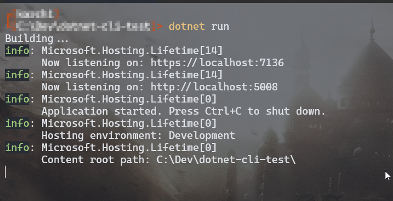 dotnet run with default profile